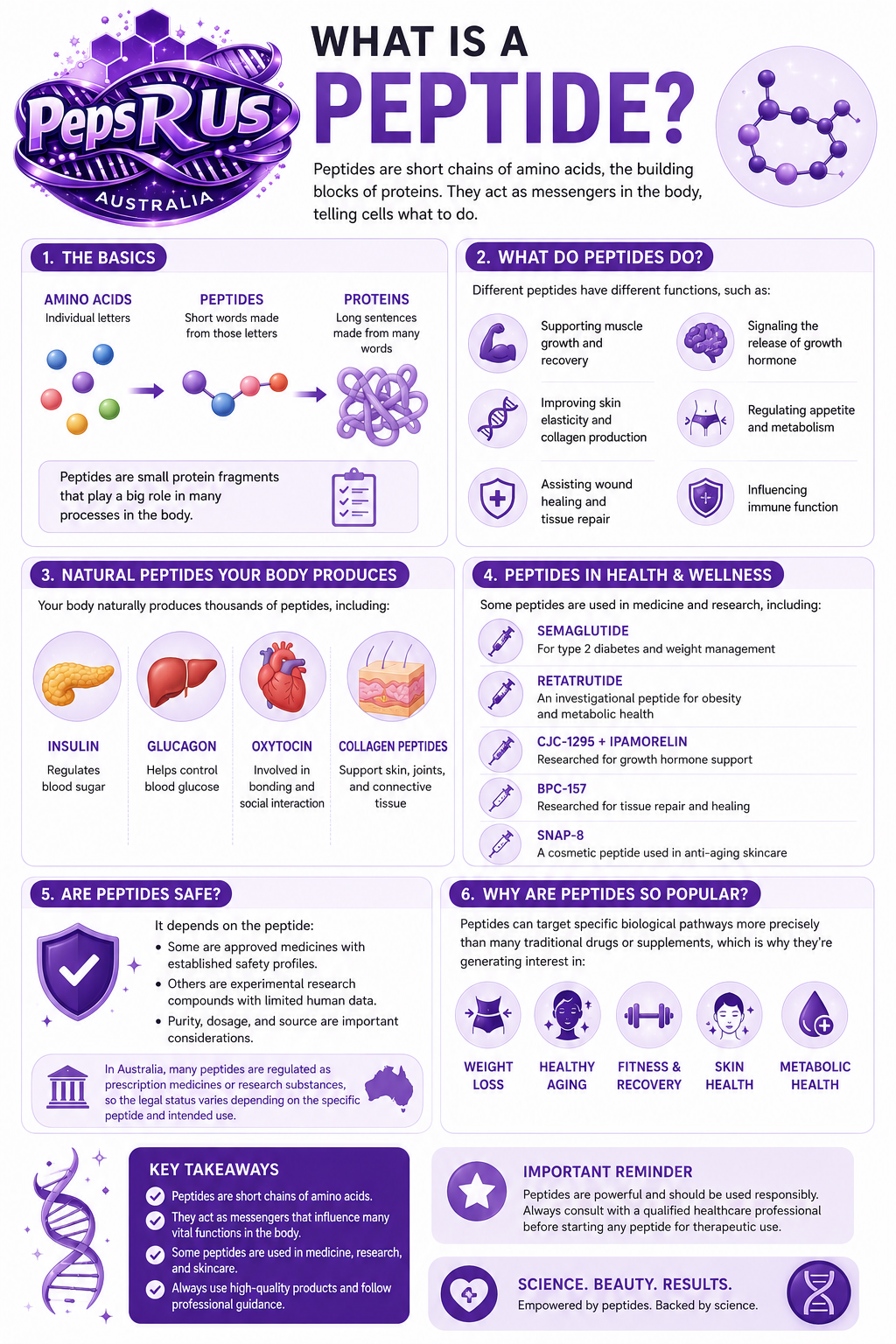 What Is A Peptide?
